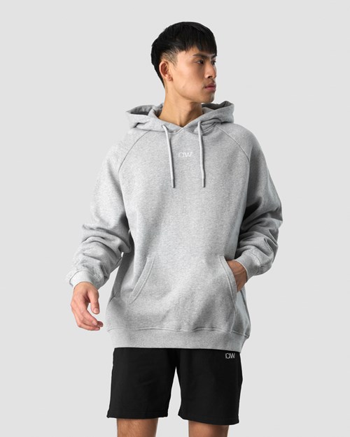 ICIW Essential Hoodie Loose Fit Light Ljusgrå | 941860MOW