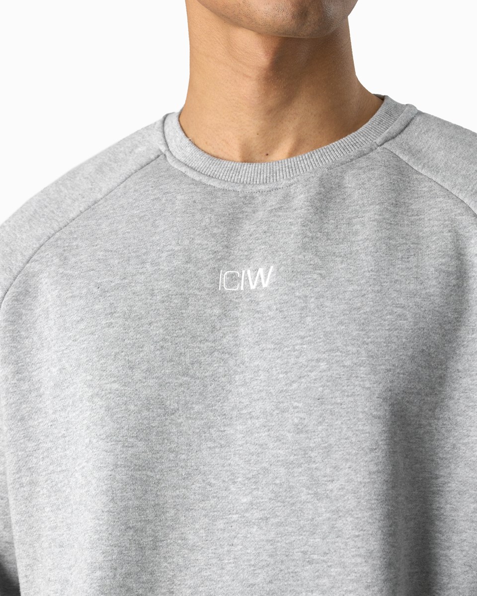 ICIW Essential Crewneck Loose Fit Light Ljusgrå | 046781QRL