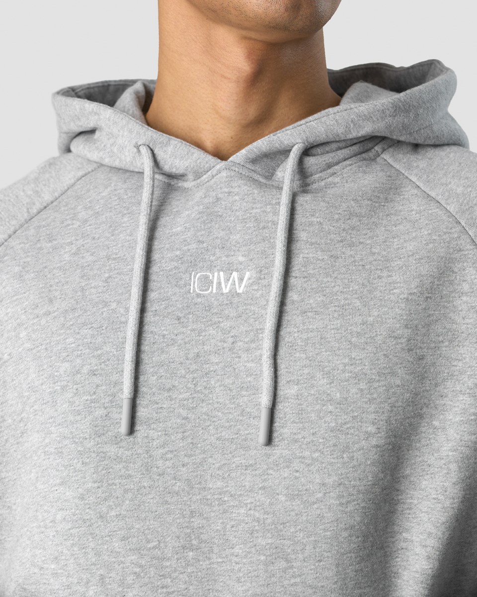 ICIW Essential Hoodie Loose Fit Light Ljusgrå | 941860MOW