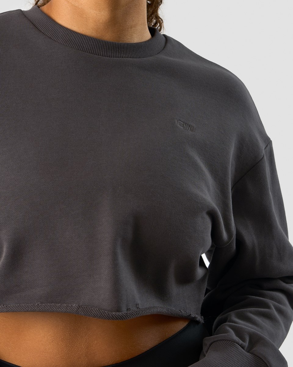 ICIW Nimble Cropped Crewneck Clay Mörkgrå | 389562WUE