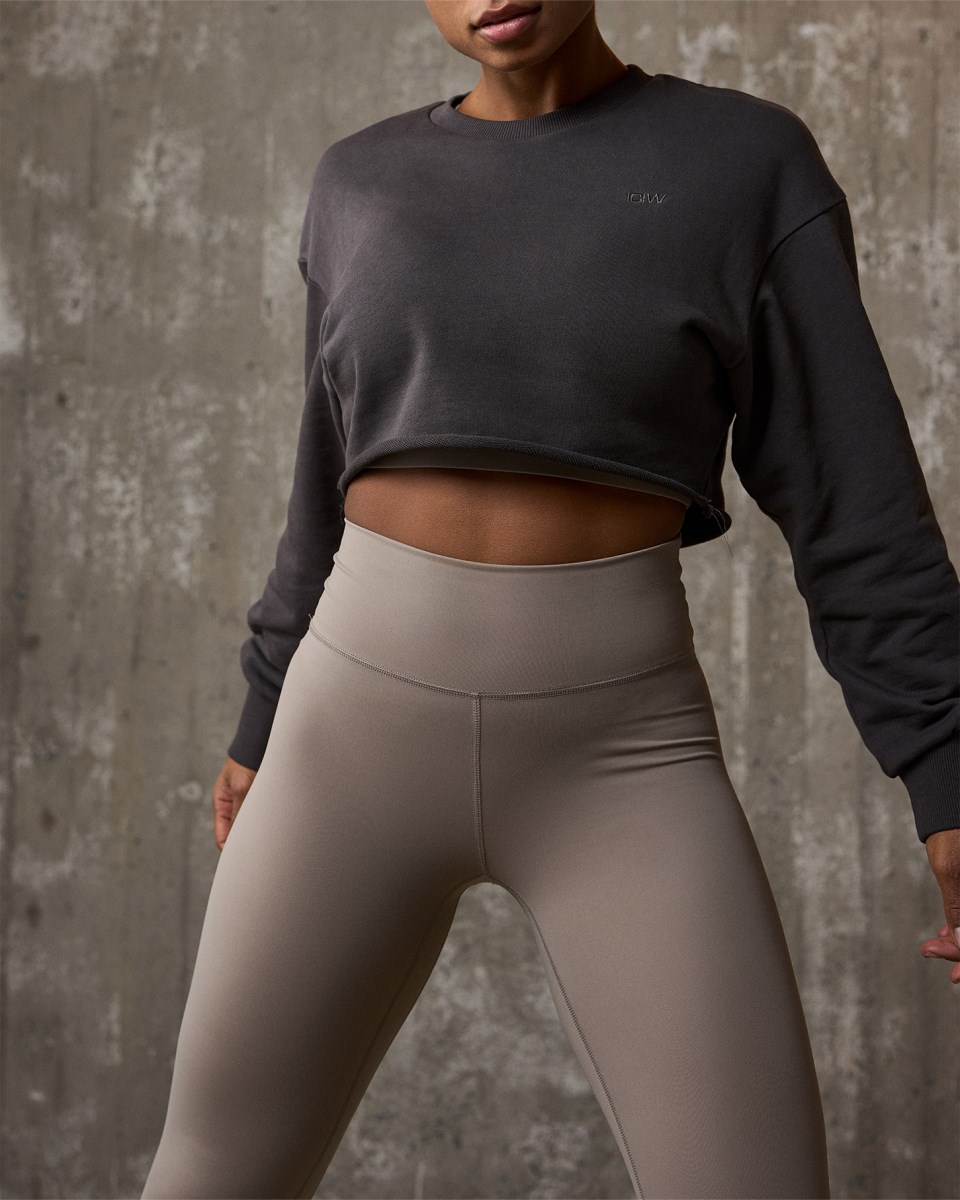 ICIW Nimble Cropped Crewneck Clay Mörkgrå | 389562WUE